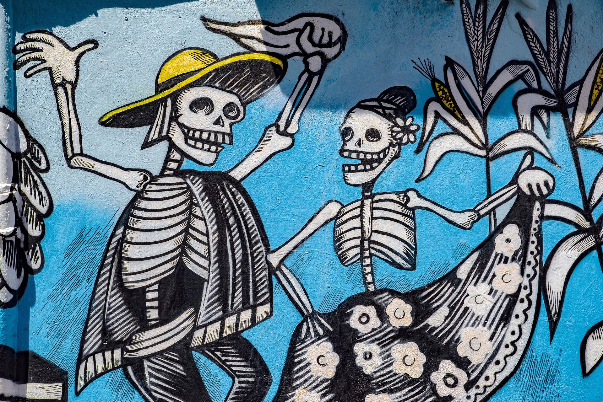 Interviews for Death Positive Research